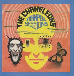 The Chameleons : John Peel Sessions